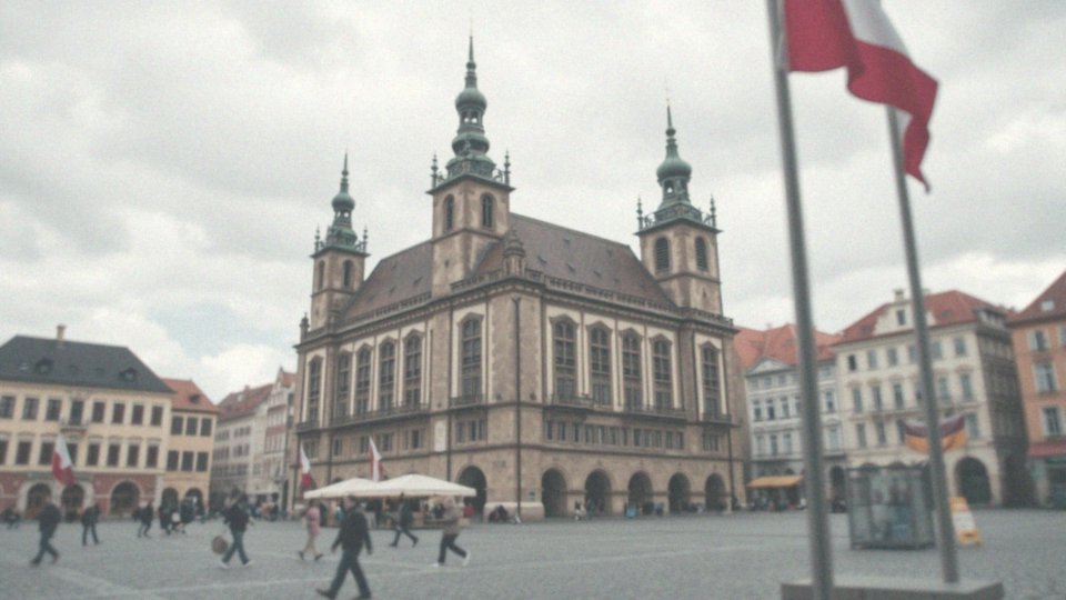 Jakie cele polityczne realizuje Konfederacja?