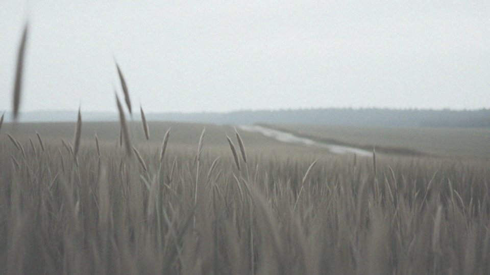 Jak boli brzuch ze stresu? Przyczyny i techniki łagodzenia dolegliwości