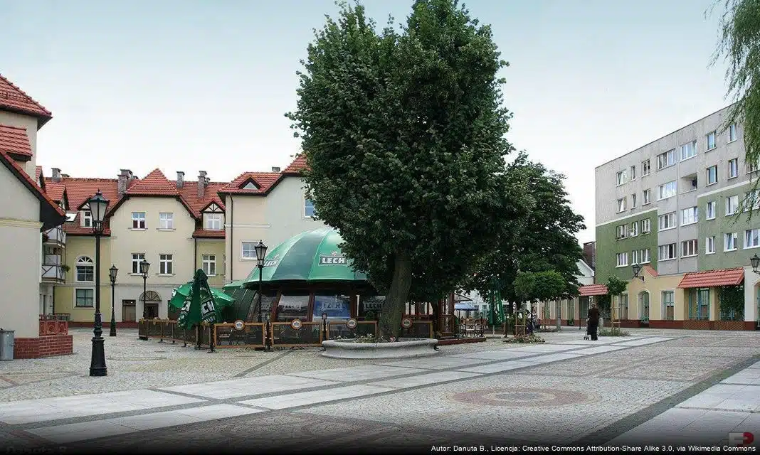 Polkowice objęte alertem gołoledzi