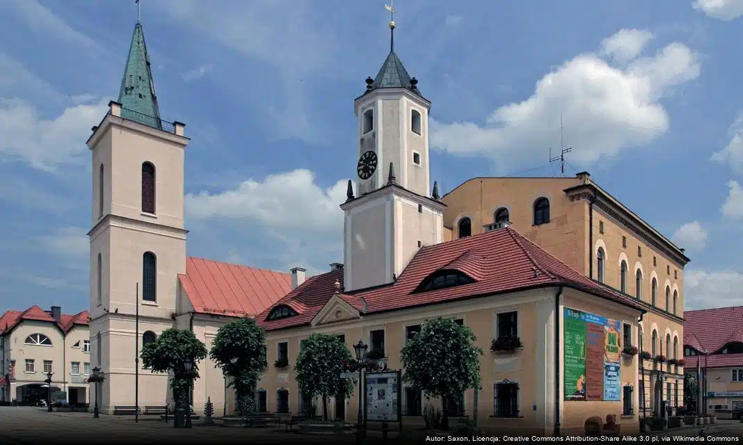 Charytatywny festyn dla Patrycji Figurskiej w Polkowicach