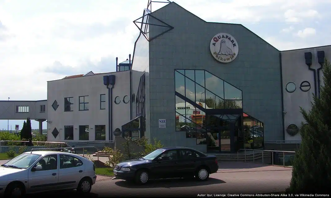 Pożar na ul. Ogrodowej: Sprawdzian solidarności społeczności Polkowic