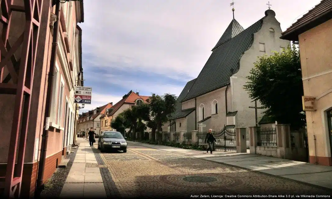 Uwaga na wilki: Co robić w przypadku spotkania z drapieżnikiem